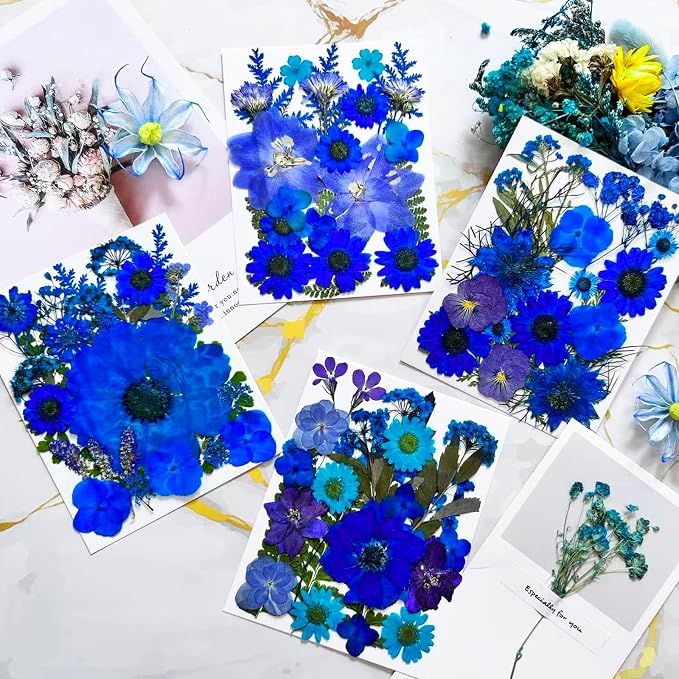 132Pcs Blue Pressed Dried Flowers and Butterfly - Image 3