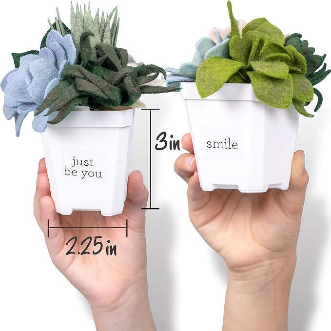 Hapinest DIY Potted Felt Succulents Craft Kit - Image 3