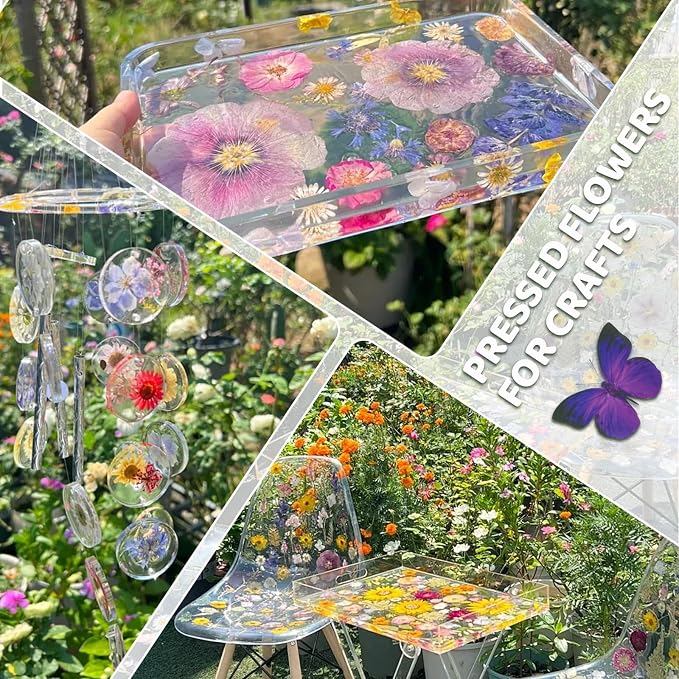 142Pcs Dried Flowers, Dried Pressed Flowers - Image 6