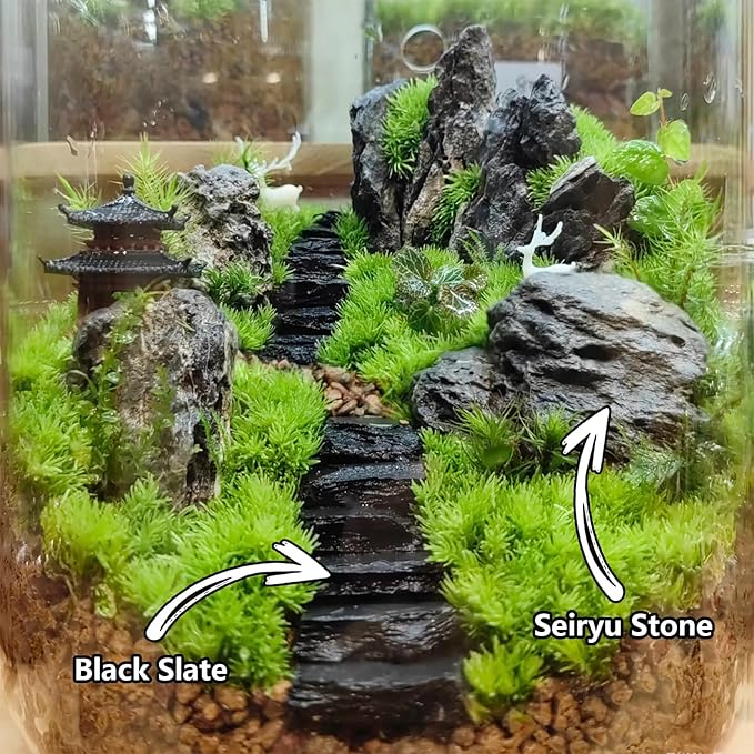 Natural Rocks Slate Stone 1-2.5 Inches Decorative Stones - Image 5