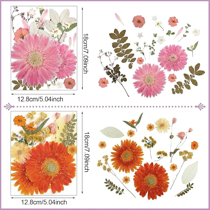 Nuanchu Dried Flower for Crafts Resin Pressed Flowers Bulk, Large Real Dried - Image 4