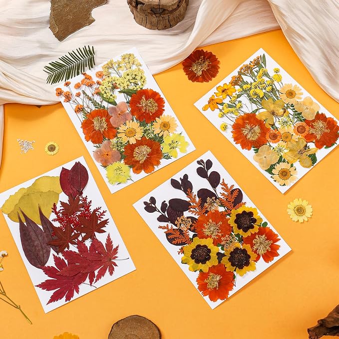 85Pcs Dried Flowers for Crafts, Natural Pressed Flowers for Crafts Real Dried - Image 2