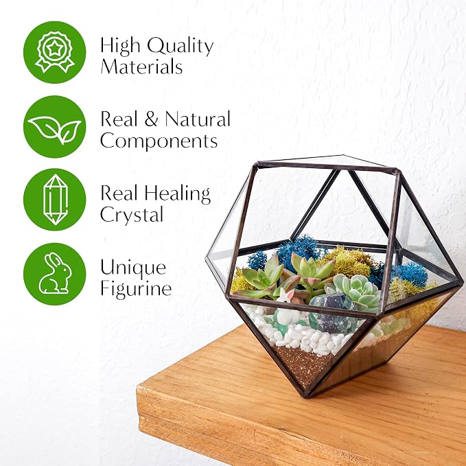 Creations by Nathalie DIY Geometric Glass Terrarium Kit - Image 3