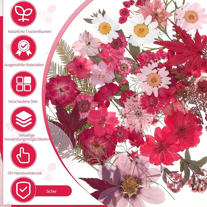 100 Pcs Dried Pressed Flowers, Real Natural Dried Wildflowers Leave - Image 3