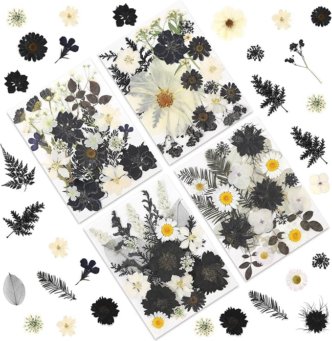 LUXEEASE 90P Halloween Black & White Dried Pressed Flowers | Gothic elegant by LUXEEASE