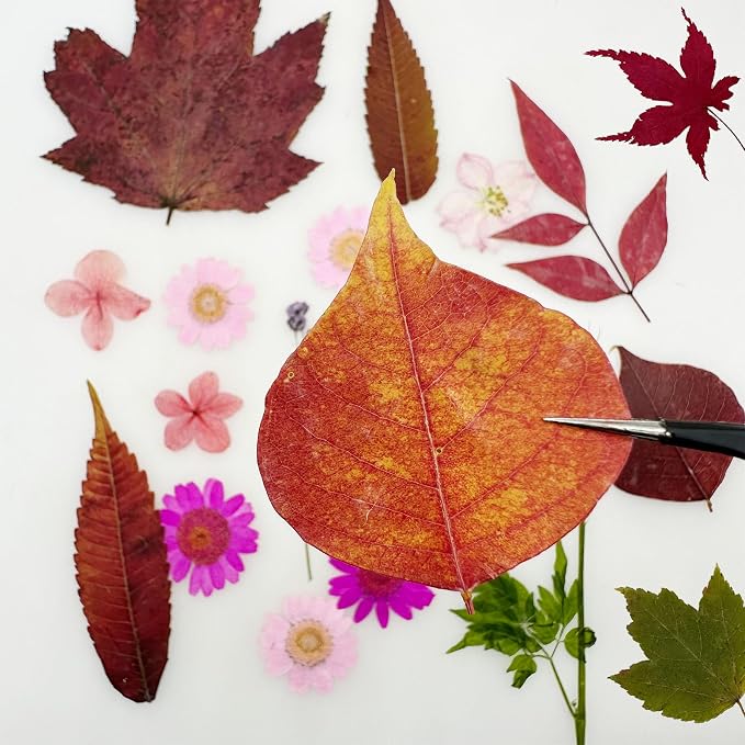 Woohome 91 PCS Natural Dried Pressed Flowers and Leaves - Image 7