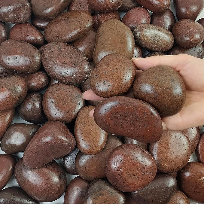 FANTIAN 5 lbs Red River Rocks, 2-3 Inch Large Pebbles by FANTIAN-GardeningMakesLifeBetter
