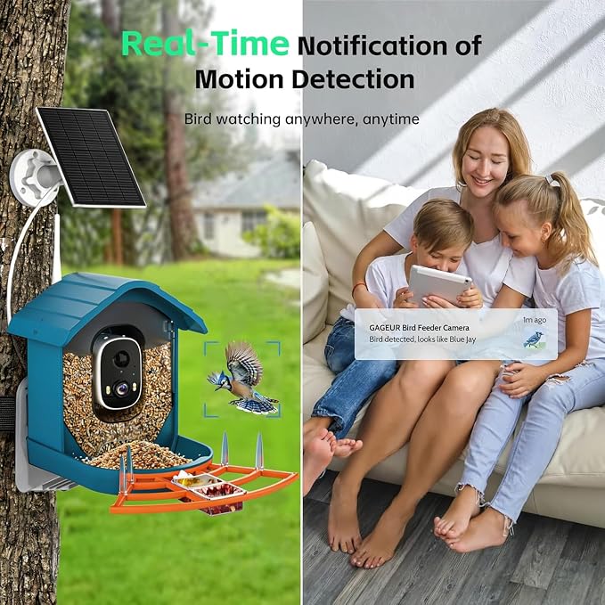 Bird Feeder with Camera, AI Bird Identification, Full HD Live Video, Solar - Image 3