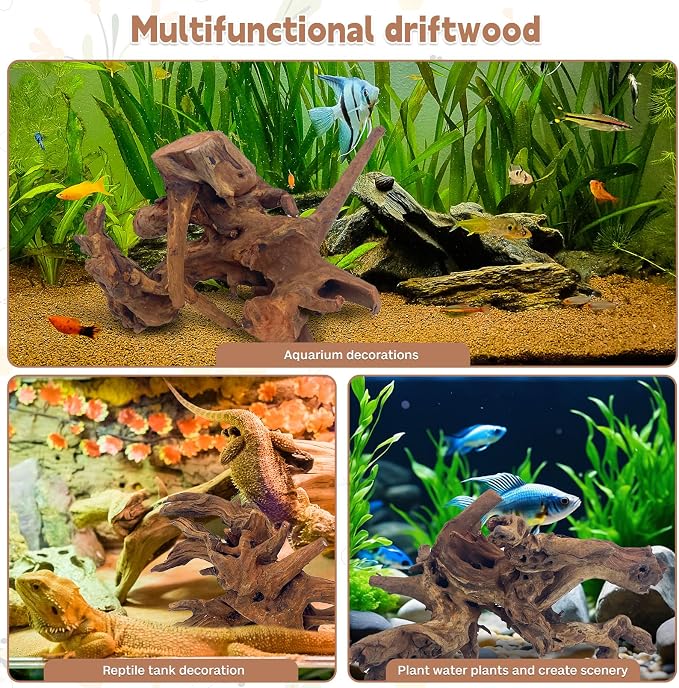 PINVNBY Natural Driftwood for Aquarium Fish Tank Decorations Assorted Branches - Image 3