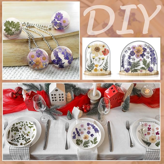 Nuanchu Dried Flower for Crafts Resin Pressed Flowers Bulk Real Dried - Image 7