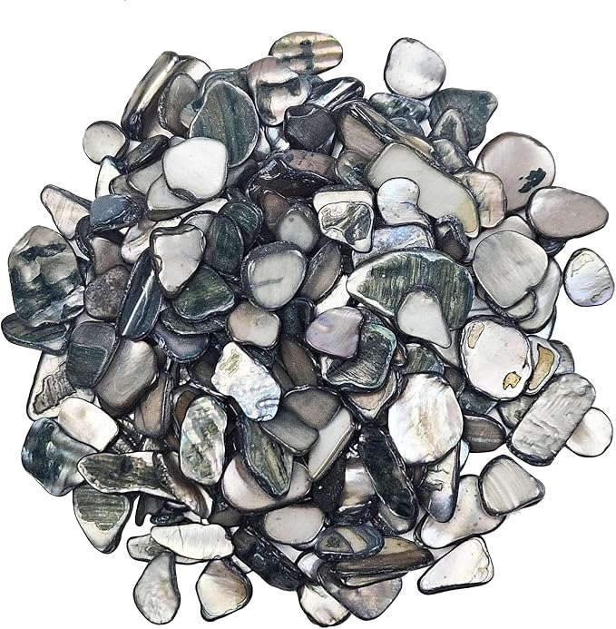 Natural Crushed Shells Chips Irregular Mother of Pearl Seashell Fragments Sea by EDSRDUS
