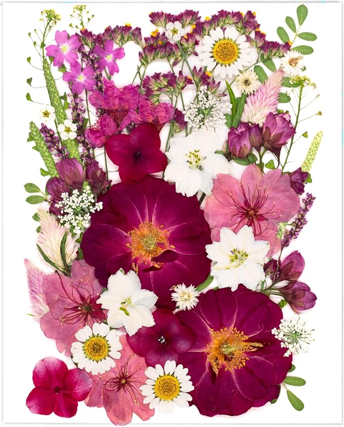 52 Pcs Red Dried Pressed Flowers by SUAUKEYDRIEDFLOWERS