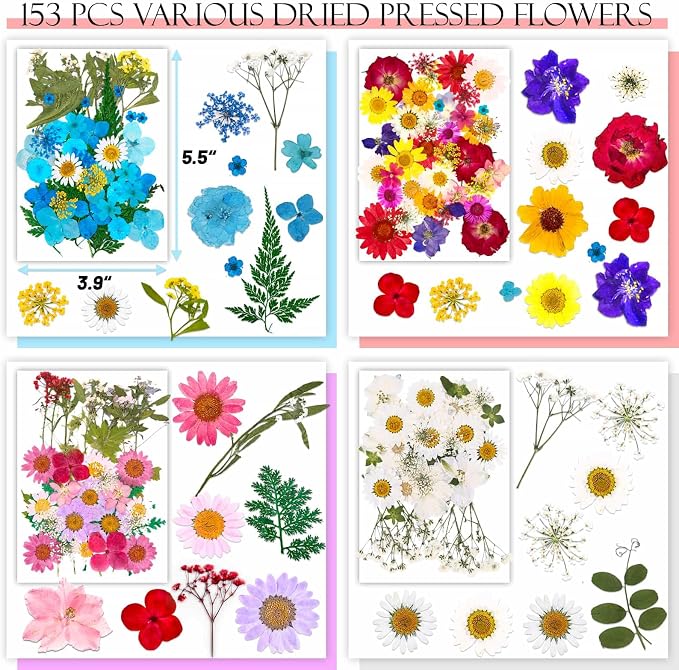 153 Pcs Dried Pressed Flowers Leaves - Image 4