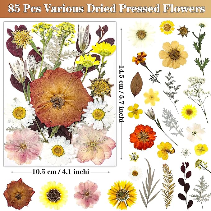 85Pcs Boho Dried Flowers for Crafts, Real Natural Pressed Flowers for Crafts - Image 3