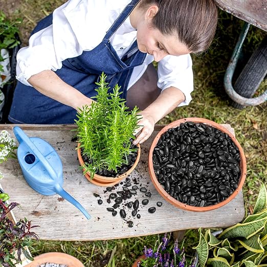 10 lb Natural Polished Black Pebbles, 3/8-1/2 Inch Decorative White Rocks - Image 7