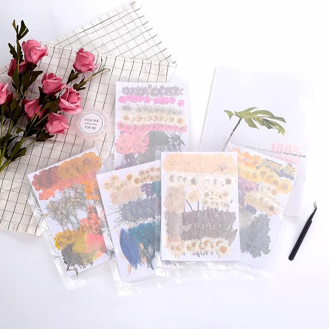 100 PCS Real Dried Pressed Flowers Leaves Natural Plant Herbarium - Image 7