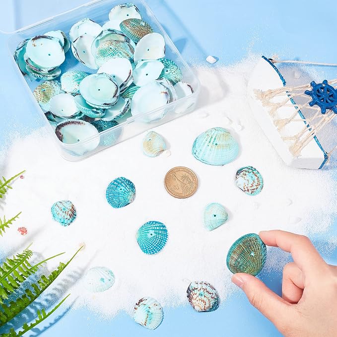 PH PandaHall Tiny Scallop Sea Shells, 35-40Pcs Natural Seashell | 1mm Hole - Image 7