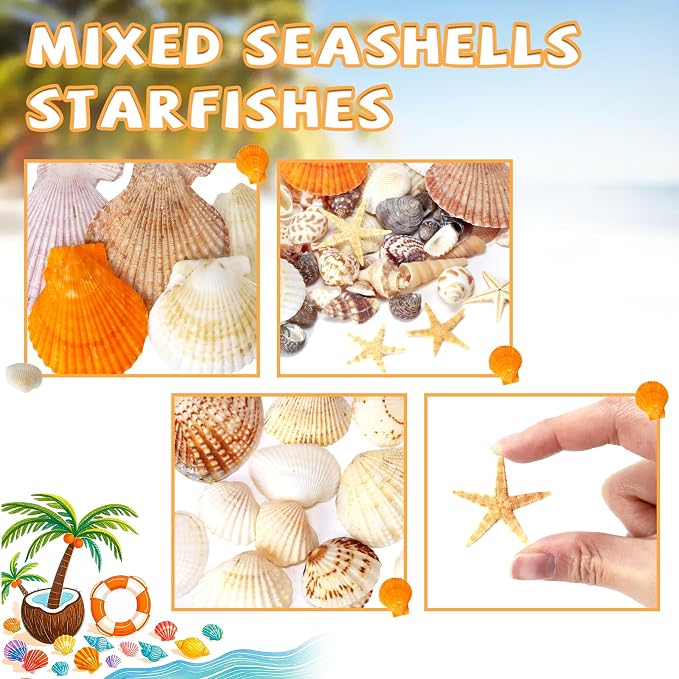WEOXPR Mixed Sea Shells, 80+ Pcs Beach Seashells Starfish, Various Sizes Ocean - Image 3