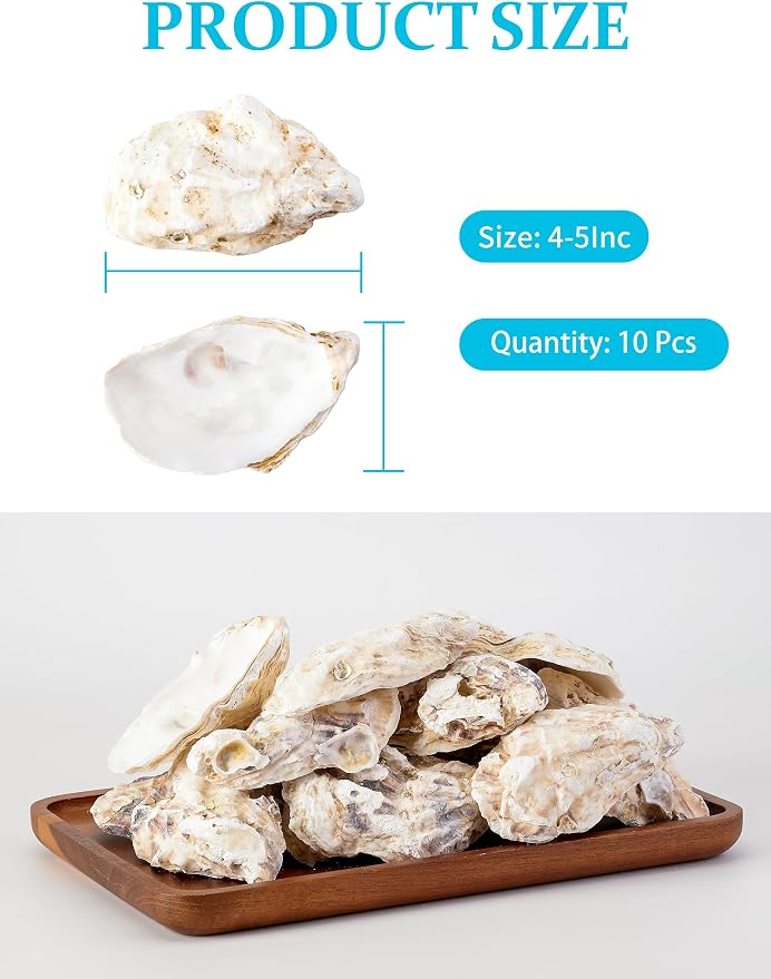 10Pcs Oyster Shells for Crafts， 4"-5" Large Oyster Shell for Crafts，Oyster - Image 5