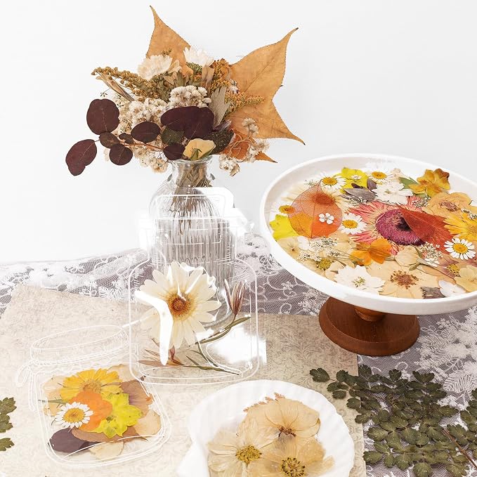 Dried Pressed Flowers Real Pressed Flowers Natural Dry Leaves Bulk Mixed - Image 4