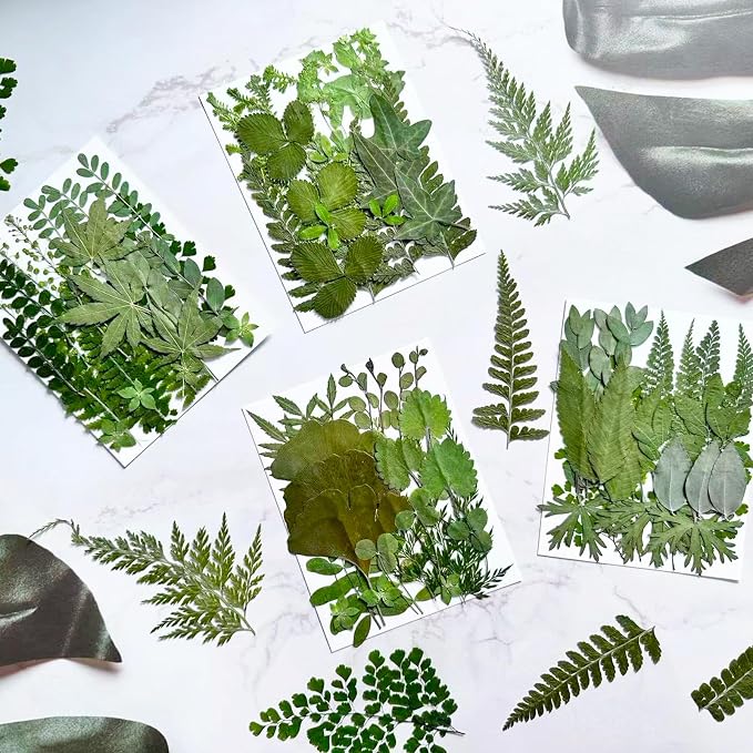 136Pcs Pressed Dried Leaves and Butterfly - Image 3