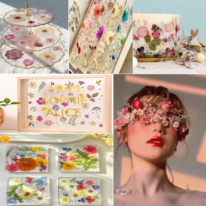 285Pcs 9 Packs Mixed Types Real Natural Dried Pressed Flowers & Leaves - Image 9