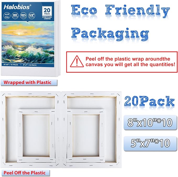 Halobios Professional Stretched Canvas - Image 4