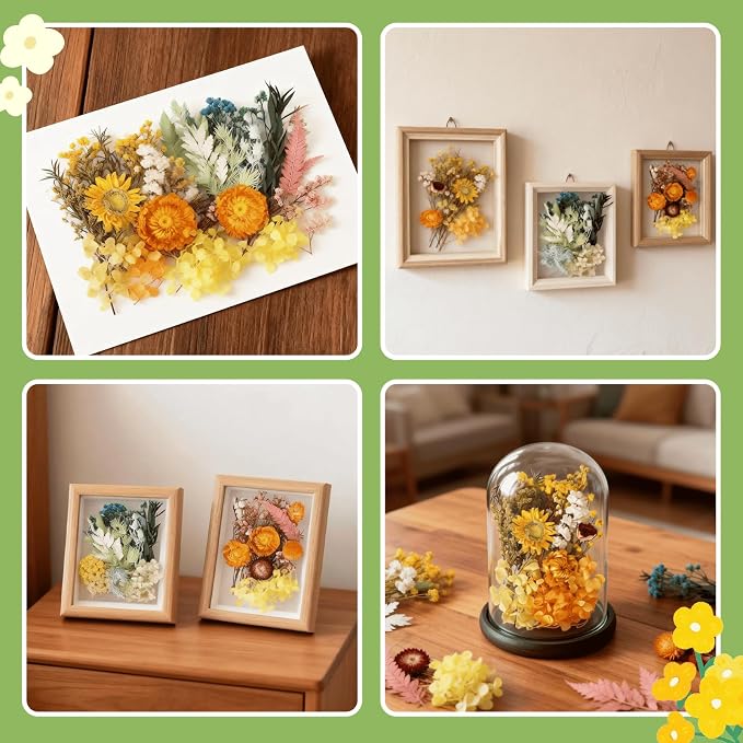 2PCS Dried Flowers Kit, Natural Dried Flowers Kit - Image 3