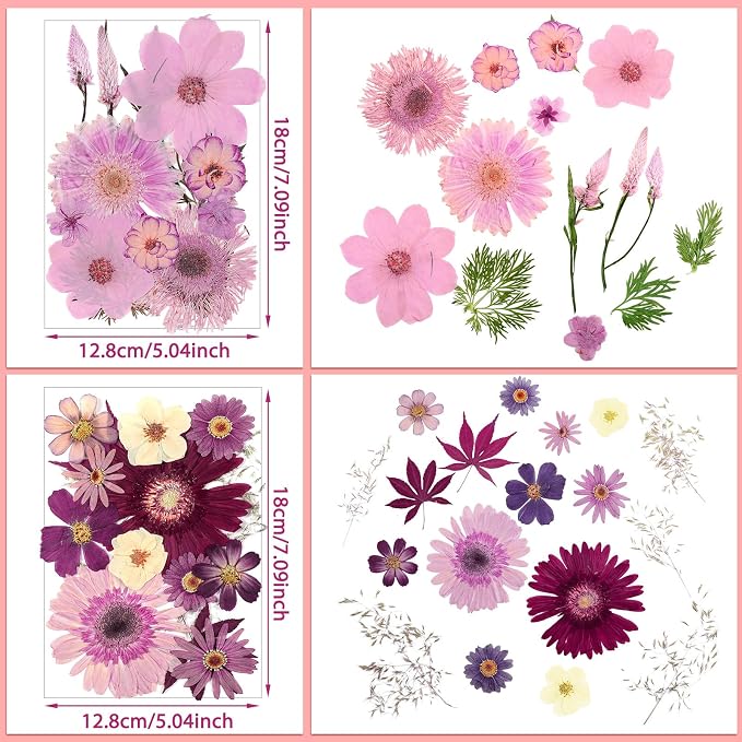 Nuanchu Dried Pressed Flowers Bulk - Image 3
