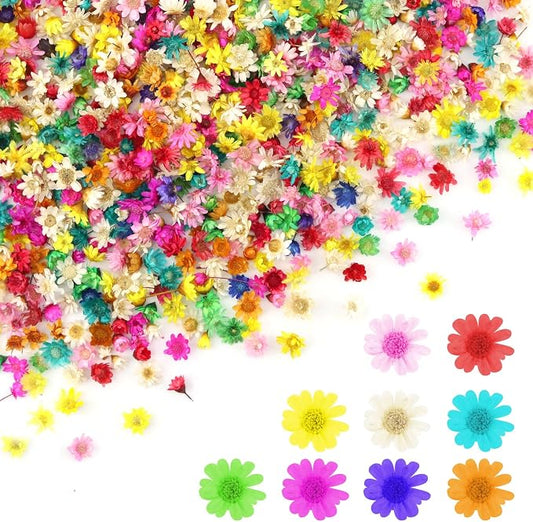 1400 PCS Mini Dried Flowers for Resin, Small Dried Flowers for Crafts, by Unknown