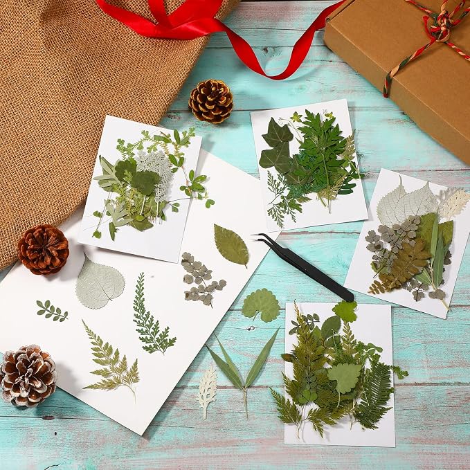 Timtin 84 Pieces Dried Pressed Leaves Flowers - Image 7