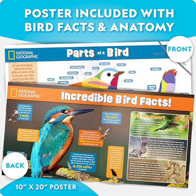 National Geographic Build Your Own Bird Feeder Craft Kit - Image 7