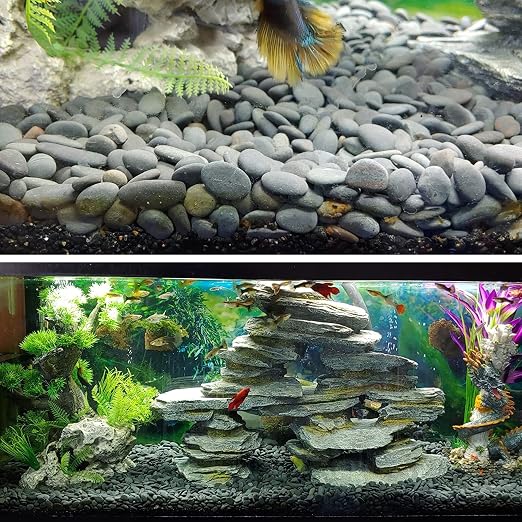 18 Pounds Natural River Rocks Mexican Beach Pebbles - Image 3