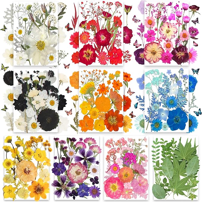 301Pcs Multi-Style Dried Pressed Flowers & Leaves by Unknown