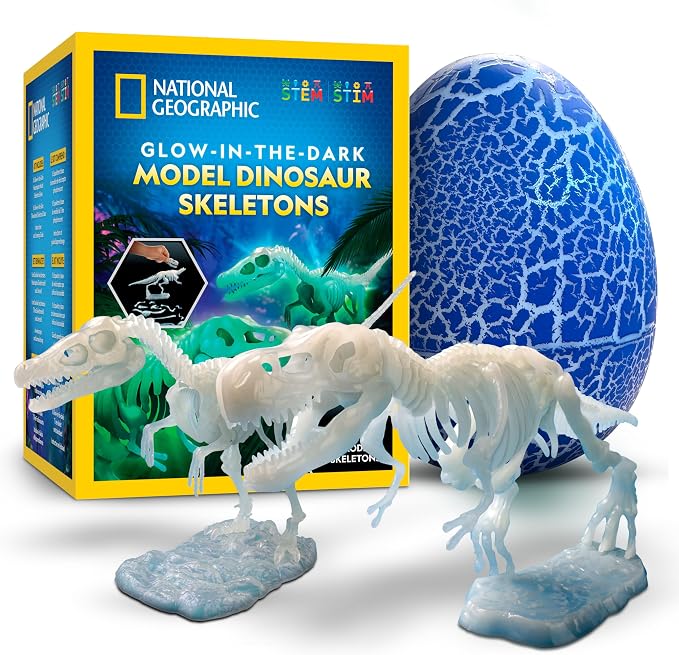 National Geographic Glow-in-The-Dark Dinosaur Skeleton Model Building Kit – by BlueMarbleToys