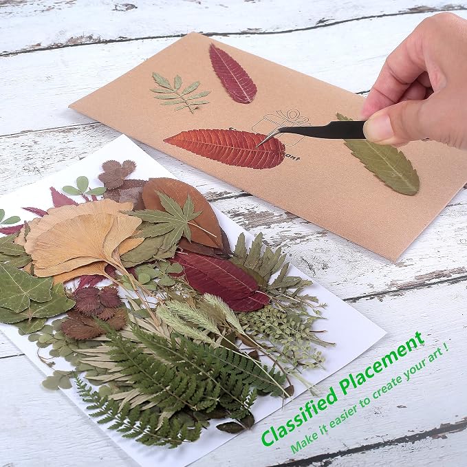 100 PCS Real Dried Pressed Greenery Leaves Natural Plant Herbarium - Image 3