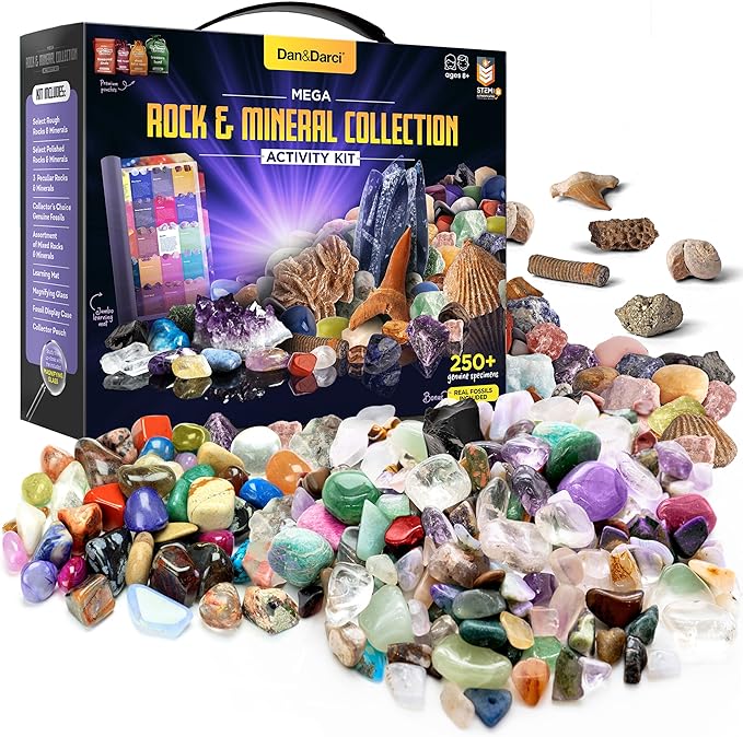 Dan&Darci Rock Collection for Kids by Dan%26Darci