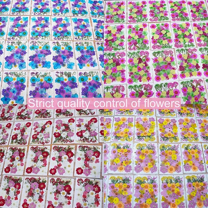 141Pcs Colorful Dried Pressed Flowers - Image 6