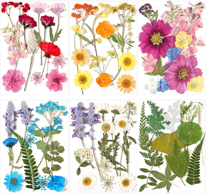 EBOOT 72 Pcs Dried Pressed Flowers by eBoot