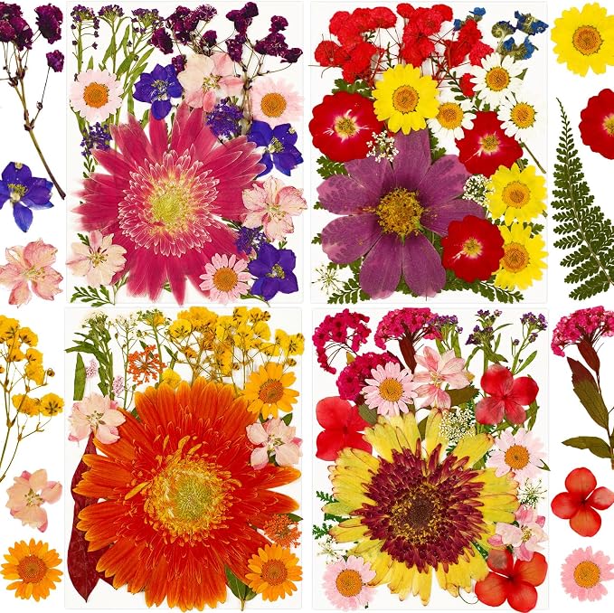 Augshy Pressed Dried Flowers, Soap Making, Scrapbooking, Epoxy Resin Supplies by Augshy