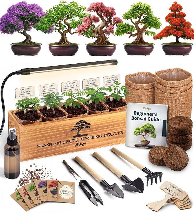 Bonsai Tree Kit Deluxe + Growing Light by Plantingseedsgrowingdreams