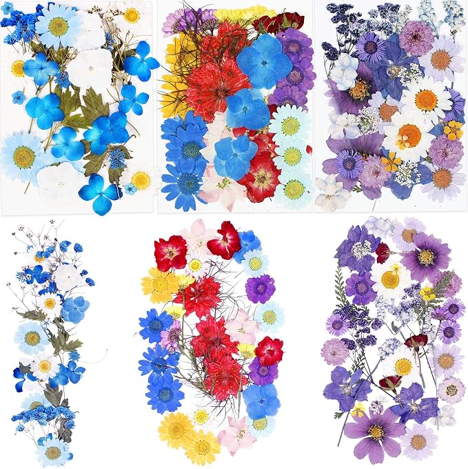 BIHRTC 100PCS Dried Pressed Leaf Flowers Natural Pressed Dry Leaves Sunflowers by HOME