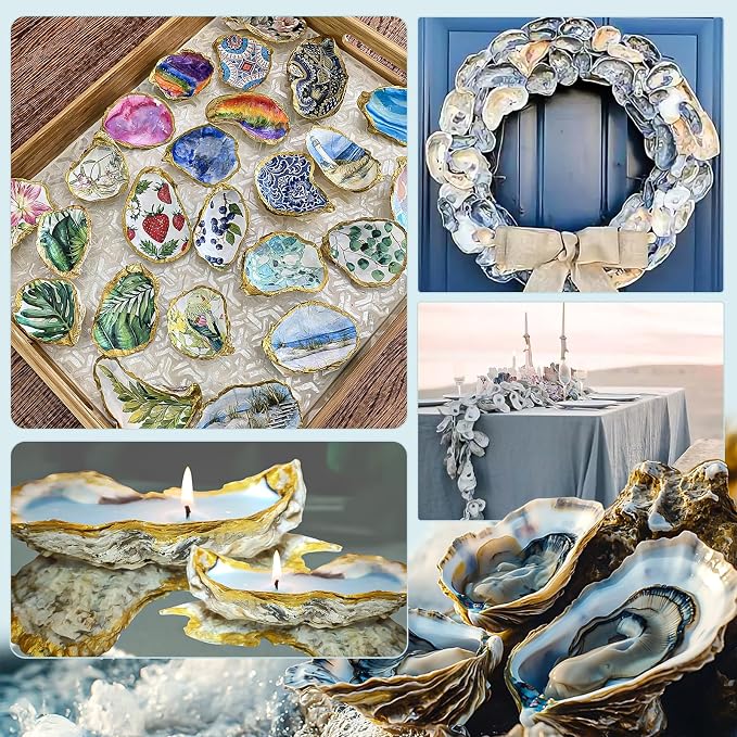 20PCS Flat Oyster Shells 5"-6" Extra Large Oyster Shells - Image 6