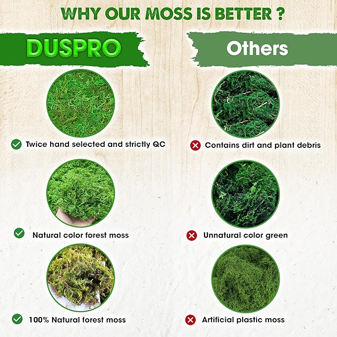 DUSPRO Green Forest Moss for Crafts, Real Dried Decorative Moss, 2 oz | Indoor - Image 3