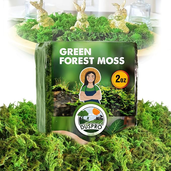 DUSPRO Green Forest Moss for Crafts, Real Dried Decorative Moss, 2 oz | Indoor by DUSPRO