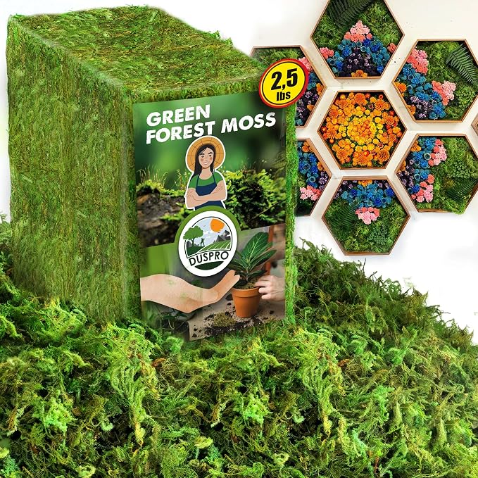 Duspro Green Forest Moss for Crafts, Real Dried Decorative Moss, 2.5 Lbs | by DUSPRO