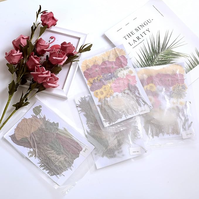 100 PCS Real Dried Pressed Greenery Leaves Natural Plant Herbarium - Image 7