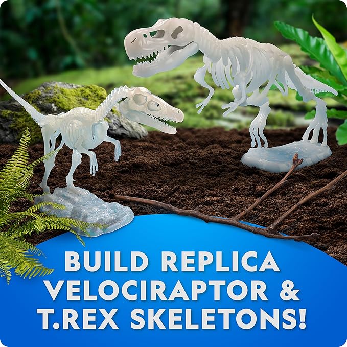 National Geographic Glow-in-The-Dark Dinosaur Skeleton Model Building Kit – - Image 2