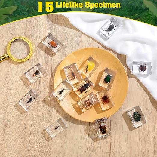 15 Real Insect Resin Specimens Set - Image 2
