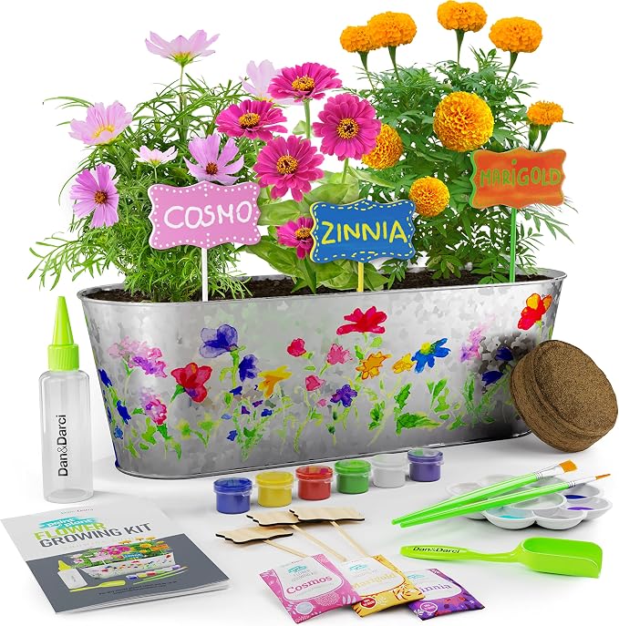 Dan&Darci Paint & Plant Flower Growing Kit by Dan%26Darci